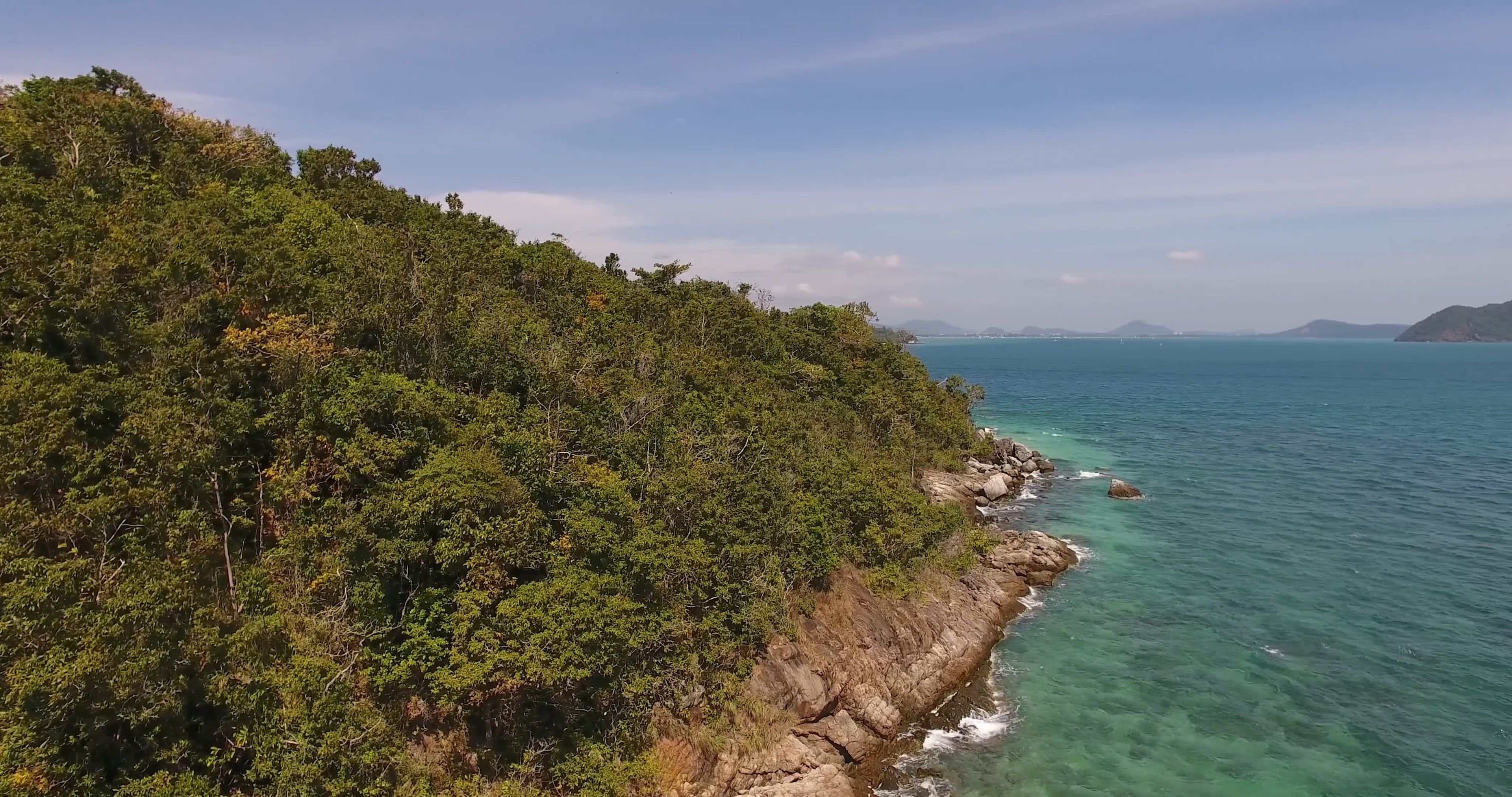 Drone Footage of a Forest and Sea · Free Stock Video