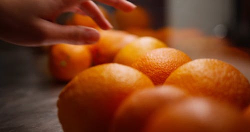 Close Up Video of Oranges