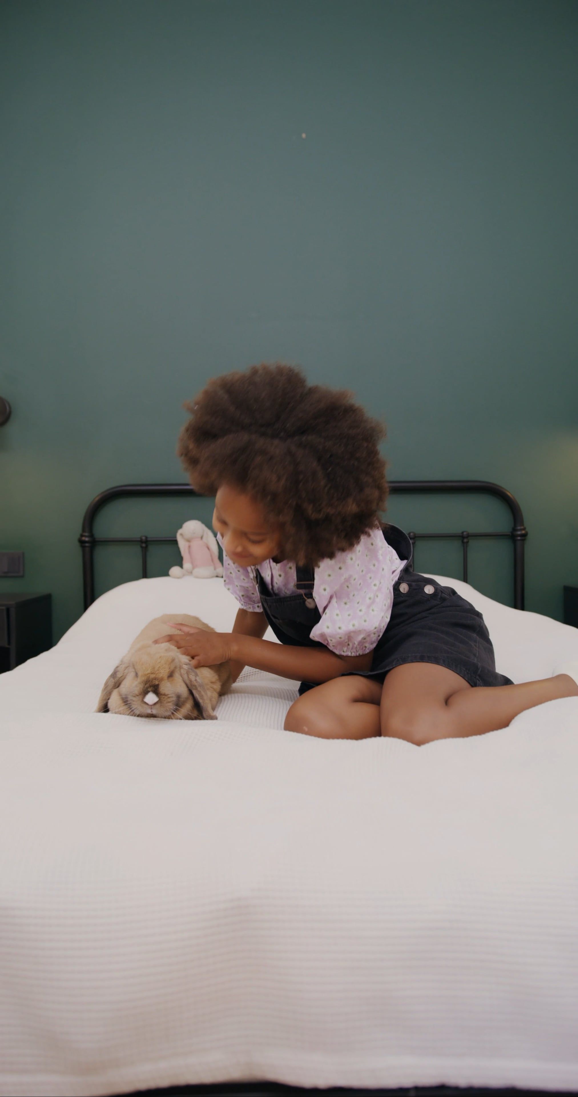 Girl Touching a Rabbit Free Stock Video Footage, Royalty-Free 4K & HD ...