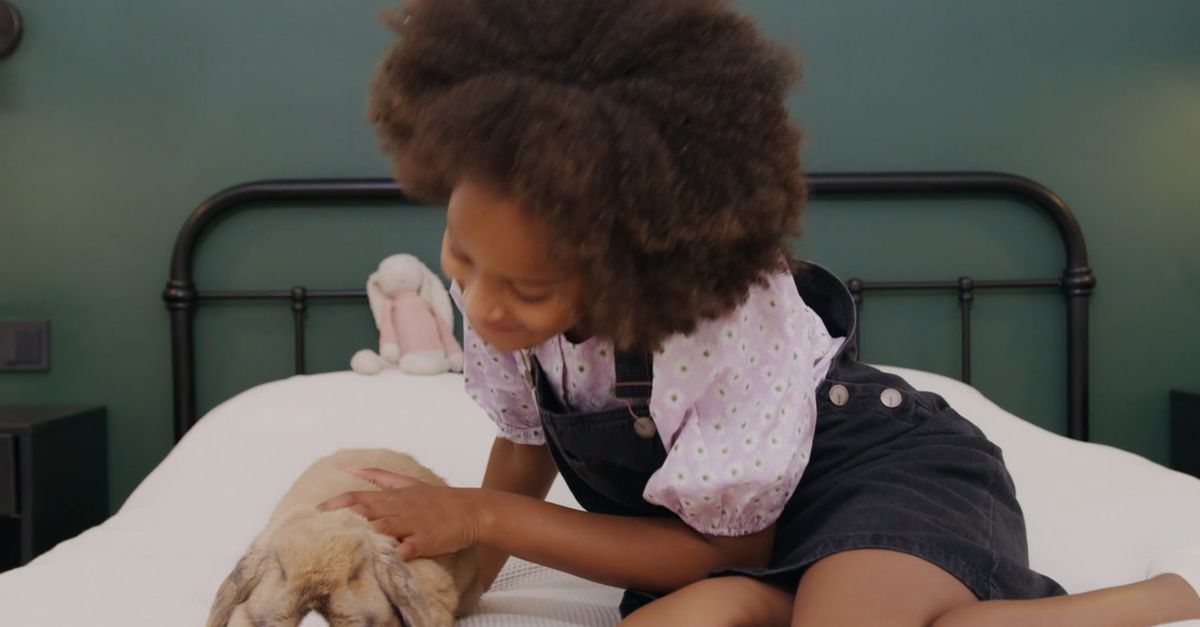 Girl Touching a Rabbit Free Stock Video Footage, Royalty-Free 4K & HD ...