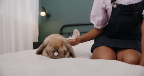 A Girl Petting Her Rabbit