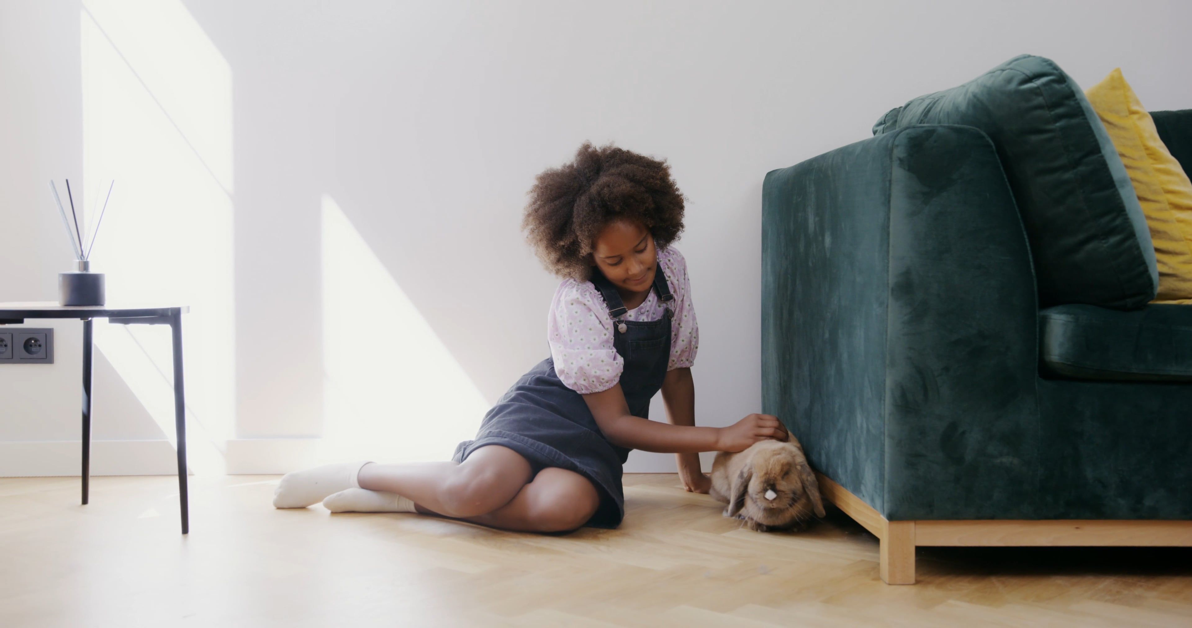 Pet Sitter video