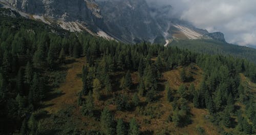 Drone Footage of a Forest below the Mountain Cliff