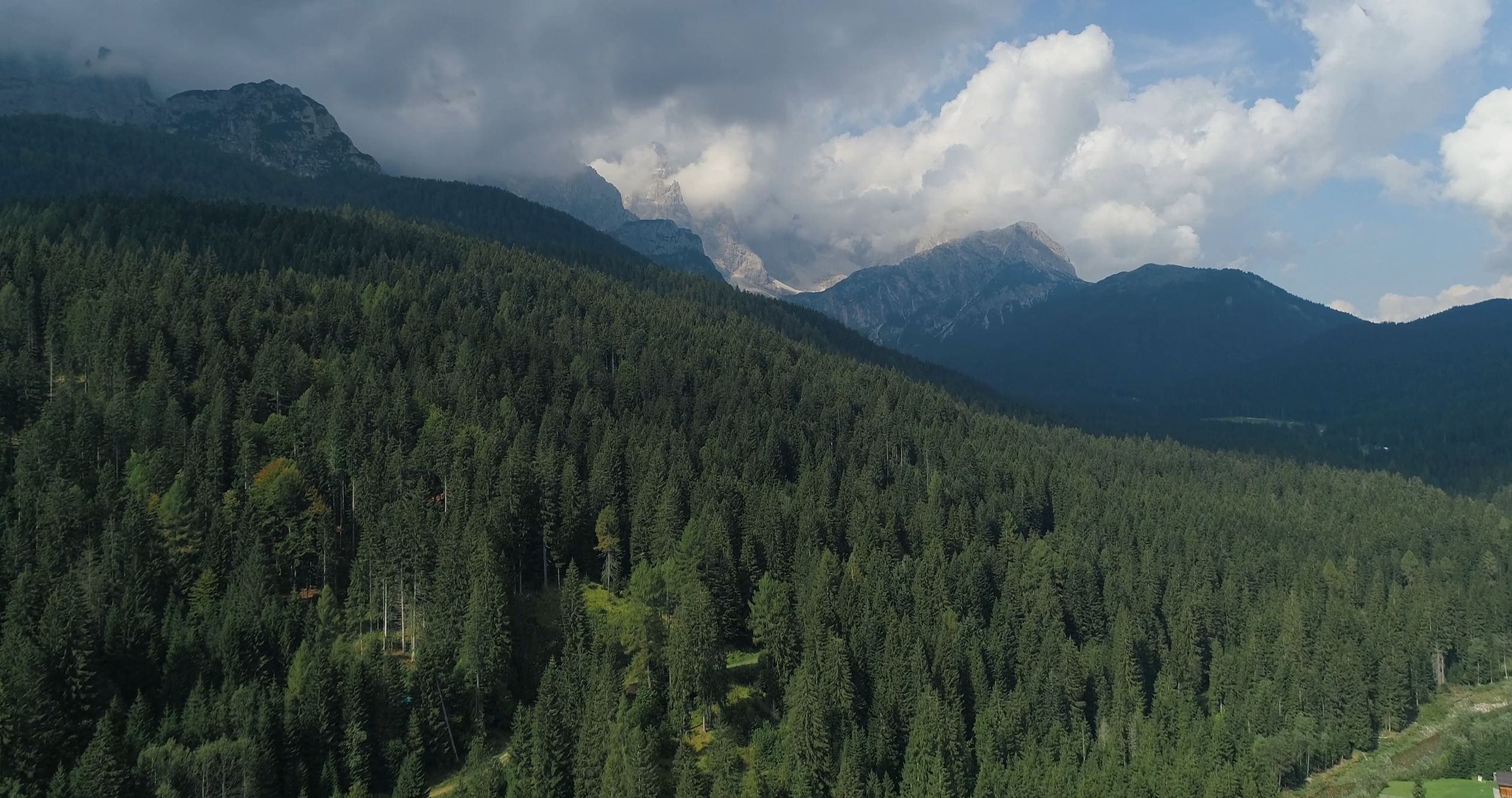 Drone Footage of the Mountain Forest Free Stock Video Footage, Royalty ...