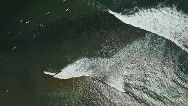surfers riding the sea waves