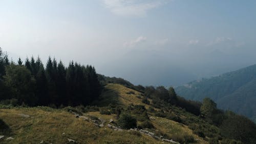 Drone Footage of Greenery on a Mountain