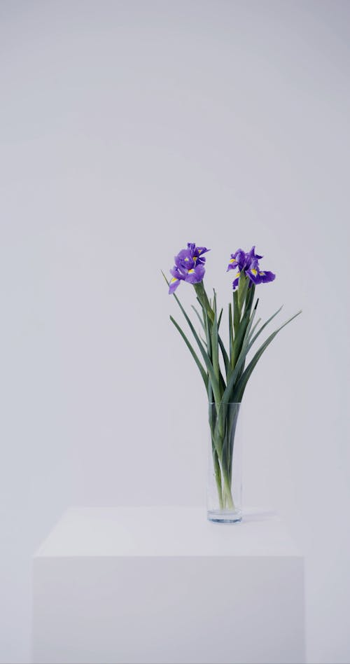 Flower Vase over a White Table