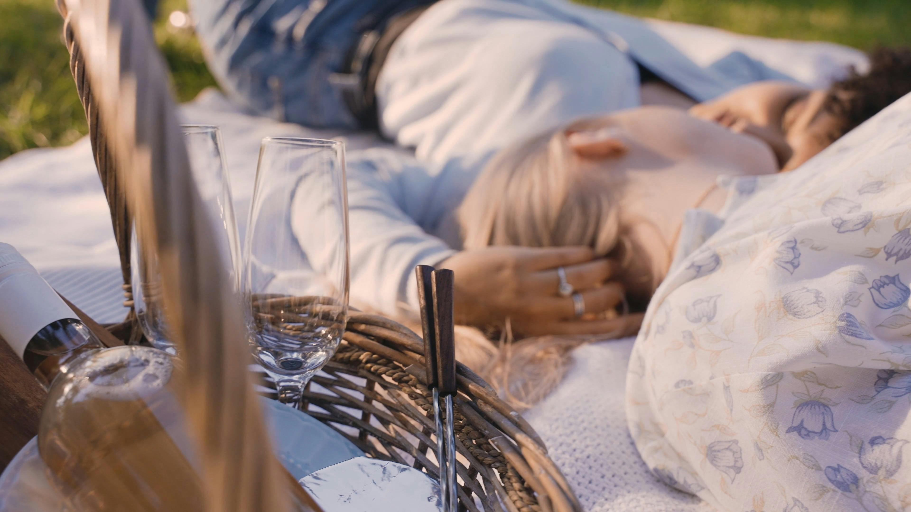 Gay Picnic Videos, Download The BEST Free 4k Stock Video Footage & Gay Picnic HD Video Clips