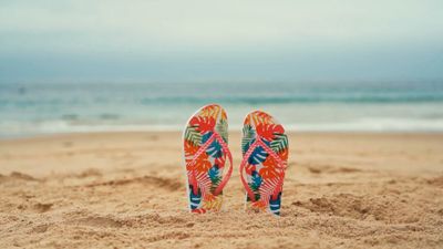 A Starfish and Flip Flops on the Beach Sand Free Stock Video Footage ...
