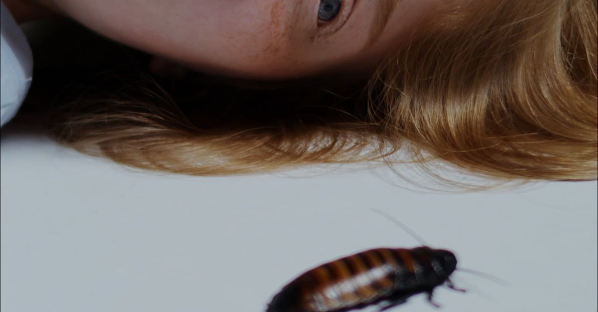 Scared Woman Of A Crawling Insect Free Stock Video Footage, Royalty ...