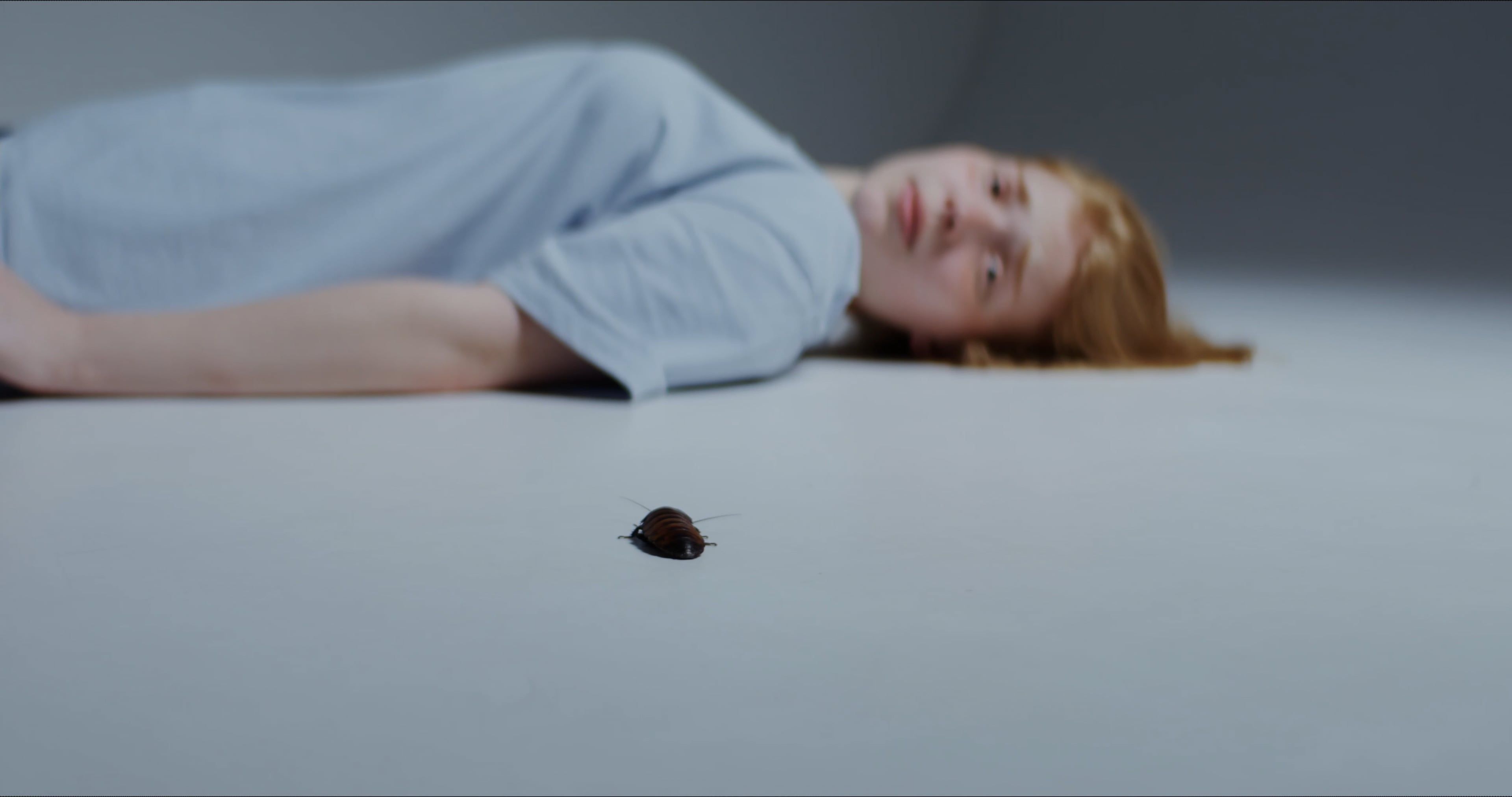 Woman Lying Down Feeling Helpless And Scared From Insect Free Stock ...