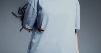 身上养视频素材