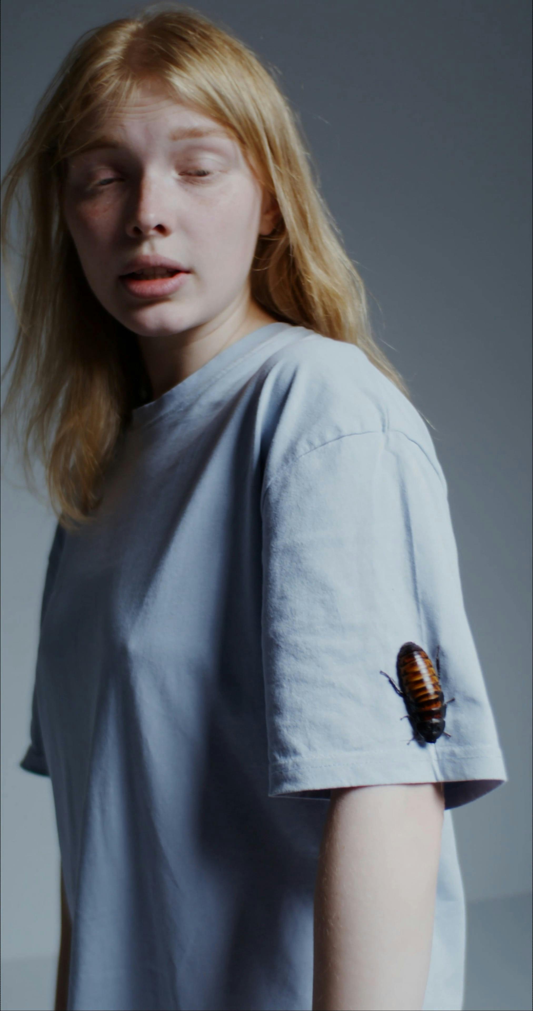 Scaffolding Psychology Definition Videos, Download The BEST Free 4k