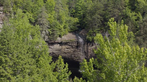A Waterfalls from the Cliff of a Mountain Forest