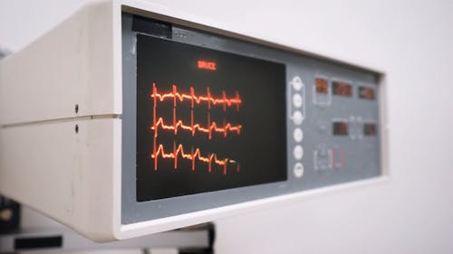 https://images.pexels.com/videos/8460293/business-cardiologist-cardiology-computer-8460293.jpeg?auto=compress&cs=tinysrgb&dpr=1&w=500