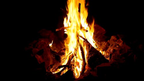 Close Up of a Burning Firewoods