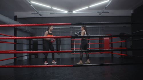 Coach Training a Boxer