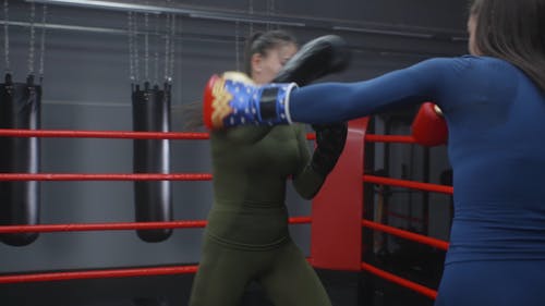 Women Boxers in a Sparring Match 