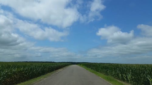 A Car Driving at the Road Across the Agricultural Land