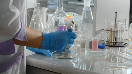 A Person Experimenting in the Laboratory