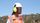 workplace safety