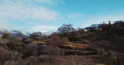 Drone Footage of Trees and Mountains