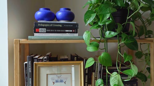 A Wooden Shelf Filled With Books 