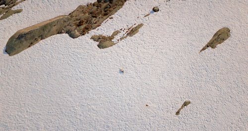 A Man Lying Down Shirtless on Snow Covered Ground