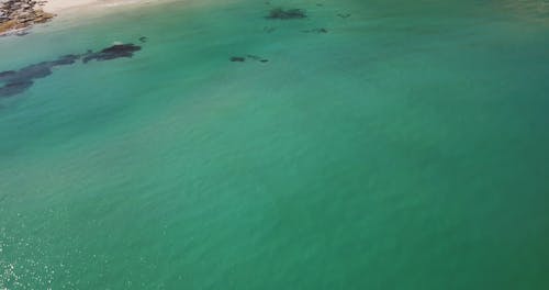 Aerial Shot of a Landscape