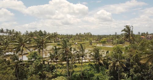 Drone Footage of an Agricultural Land