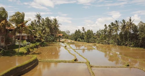 Aerial Footage in a Terrace 