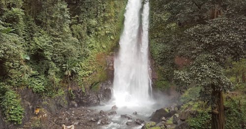 Rushing Waterfall