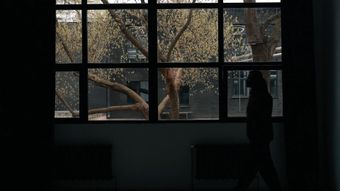 窗花高清视频免费下载视频素材