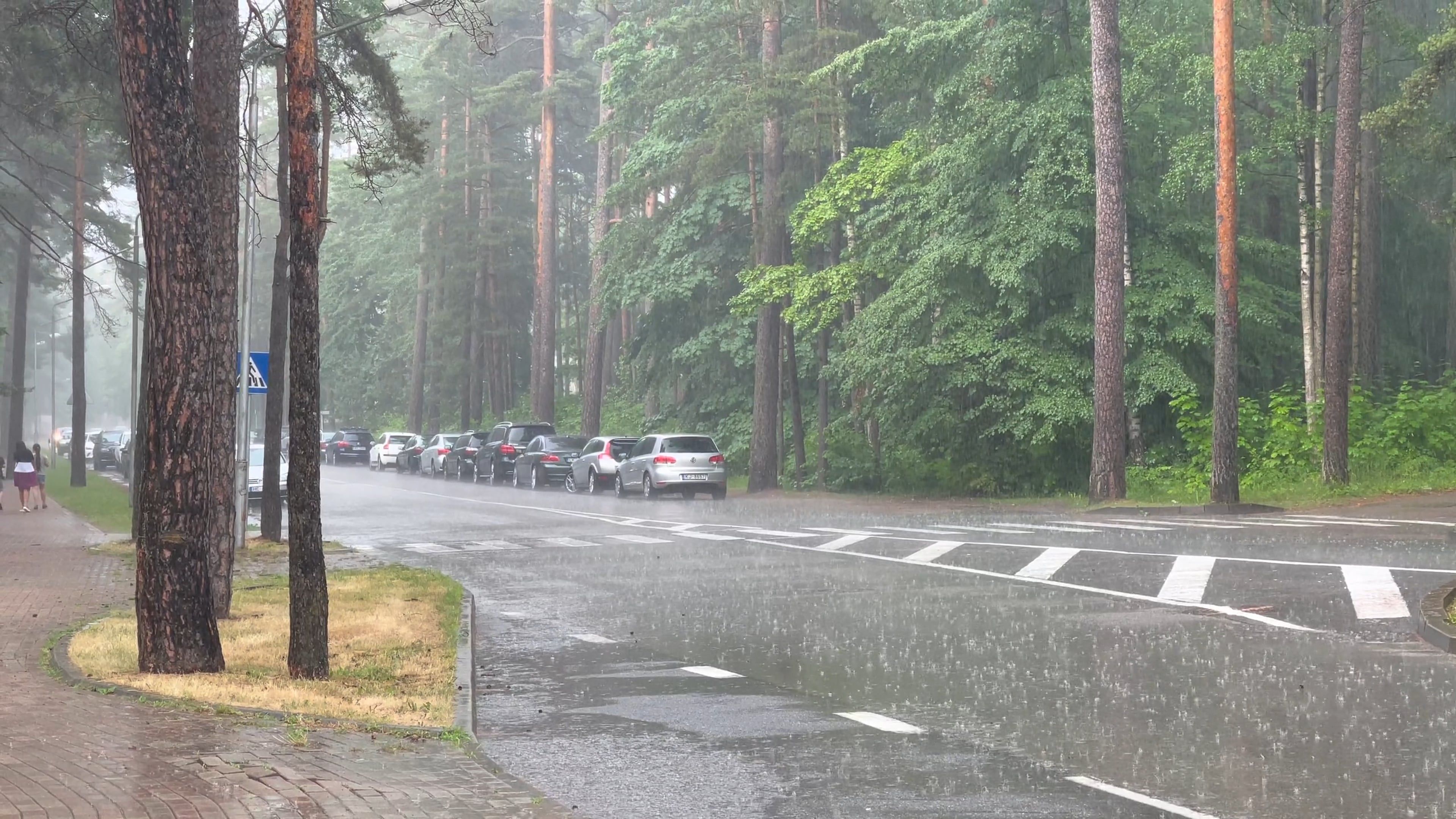 rain falling on the road 8497411
