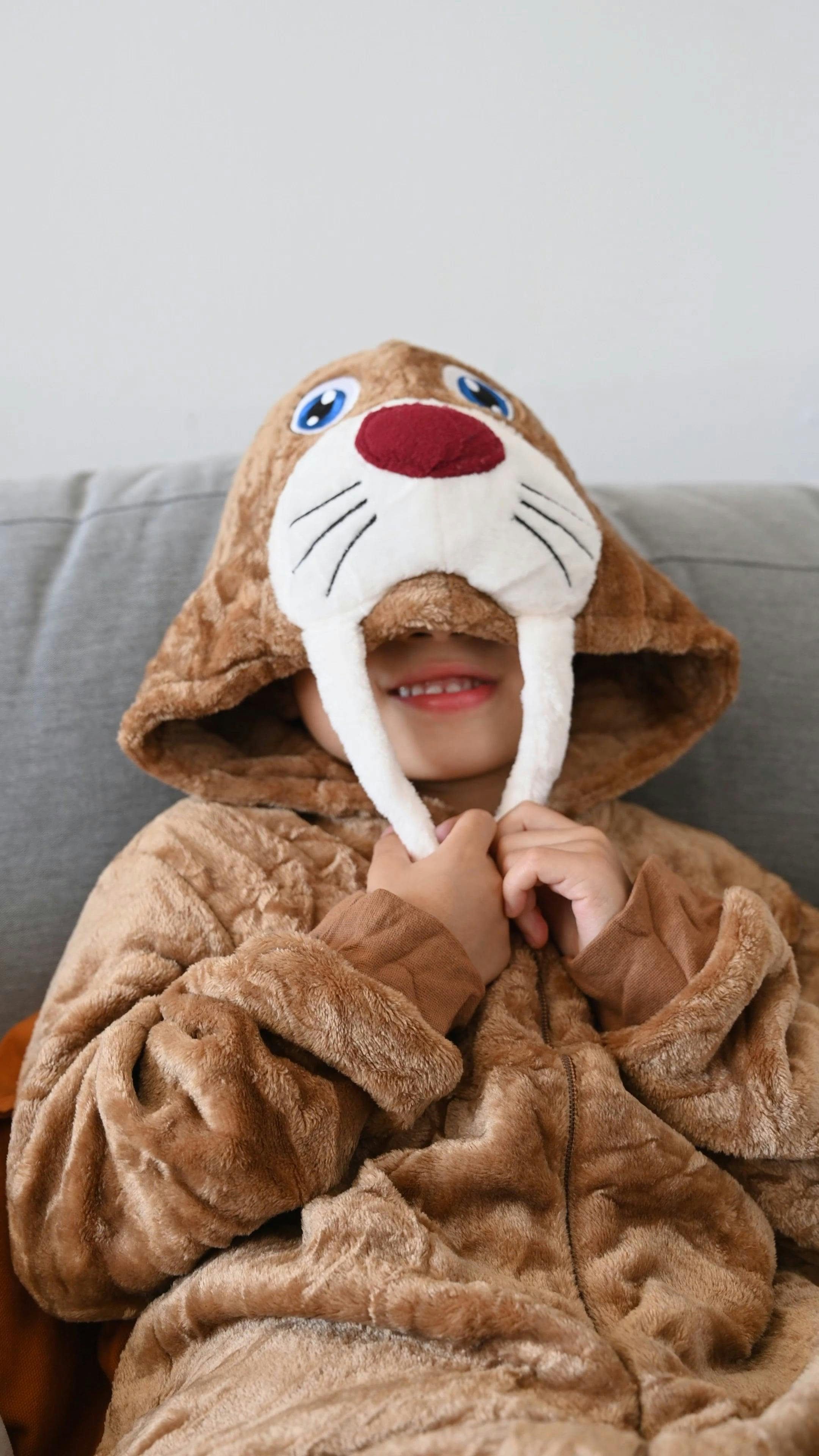 A Little Boy Wearing Animal Costume · Free Stock Video