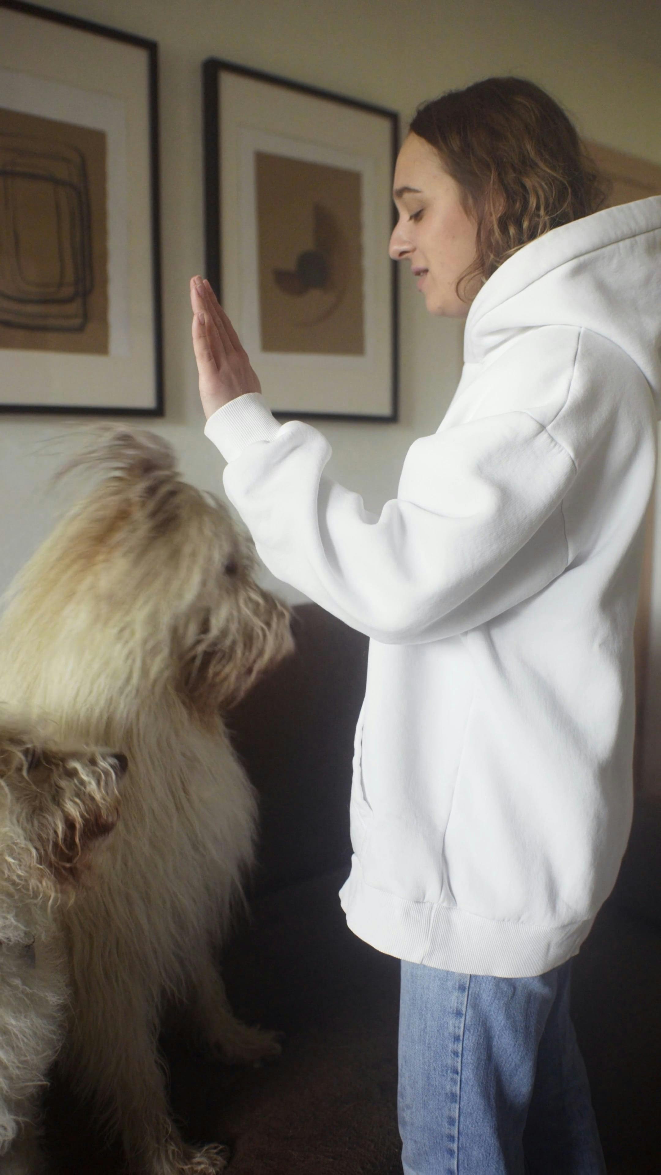 A Woman Teaching Dogs at Home · Free Stock Video