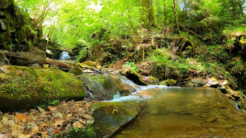 Close Up Shot of a River