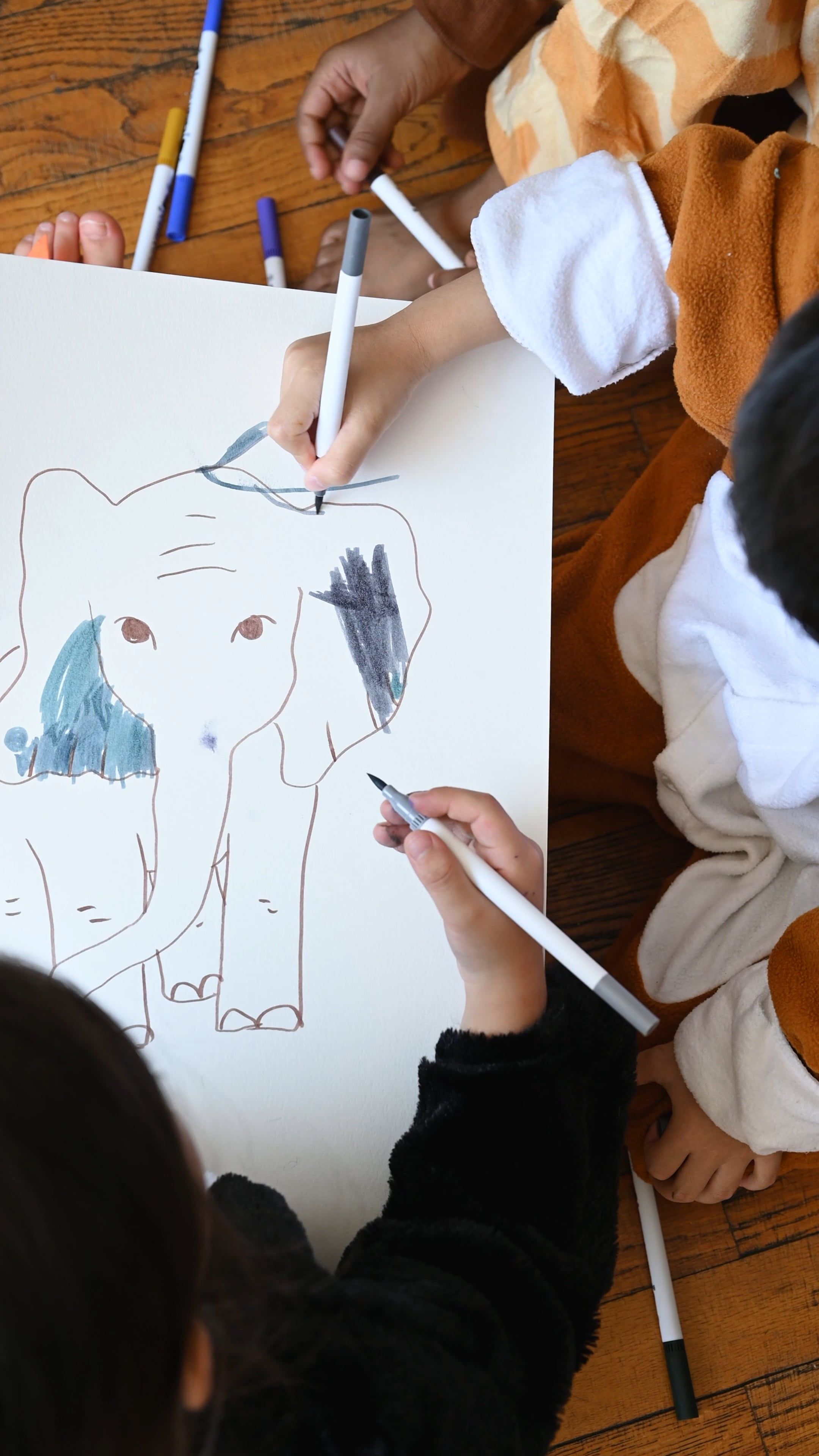 2,000+个最精彩的“Elephant Drawing”视频 · 100%免费下载 · Pexels素材视频
