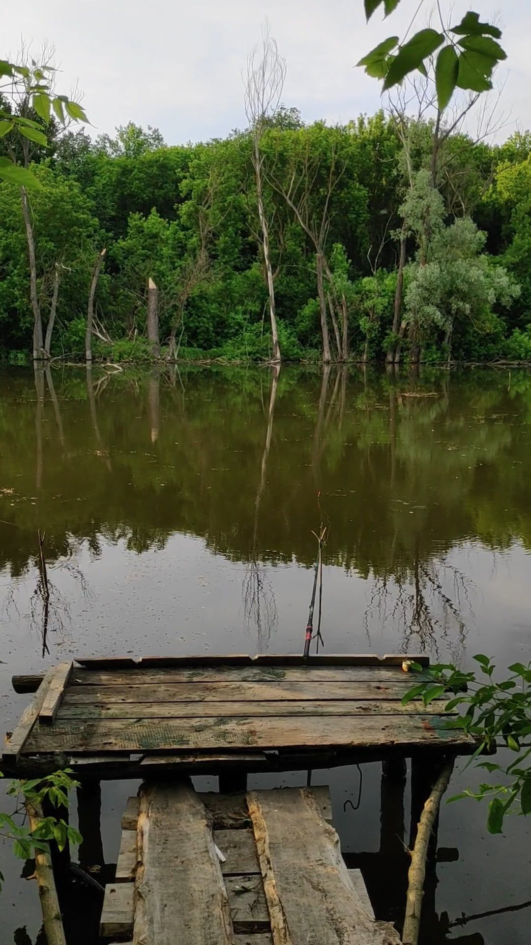 Video by SN.CHE