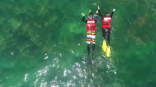 Overhead Shot of People Snorkeling in Colombia