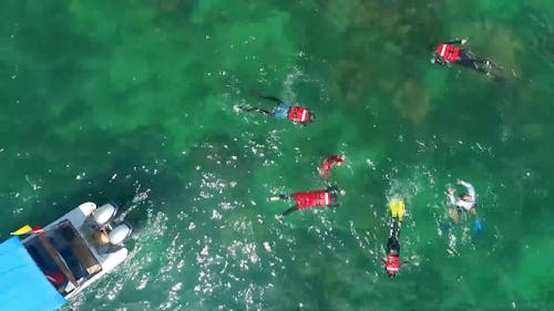 Pull Out Shot of People Snorkeling in Colombia