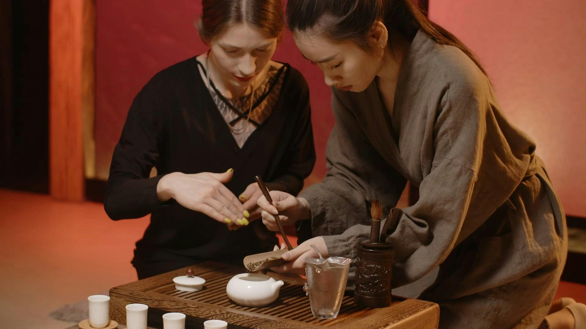 A Woman Teaching another Woman How to Prepare Tea · Free Stock Video