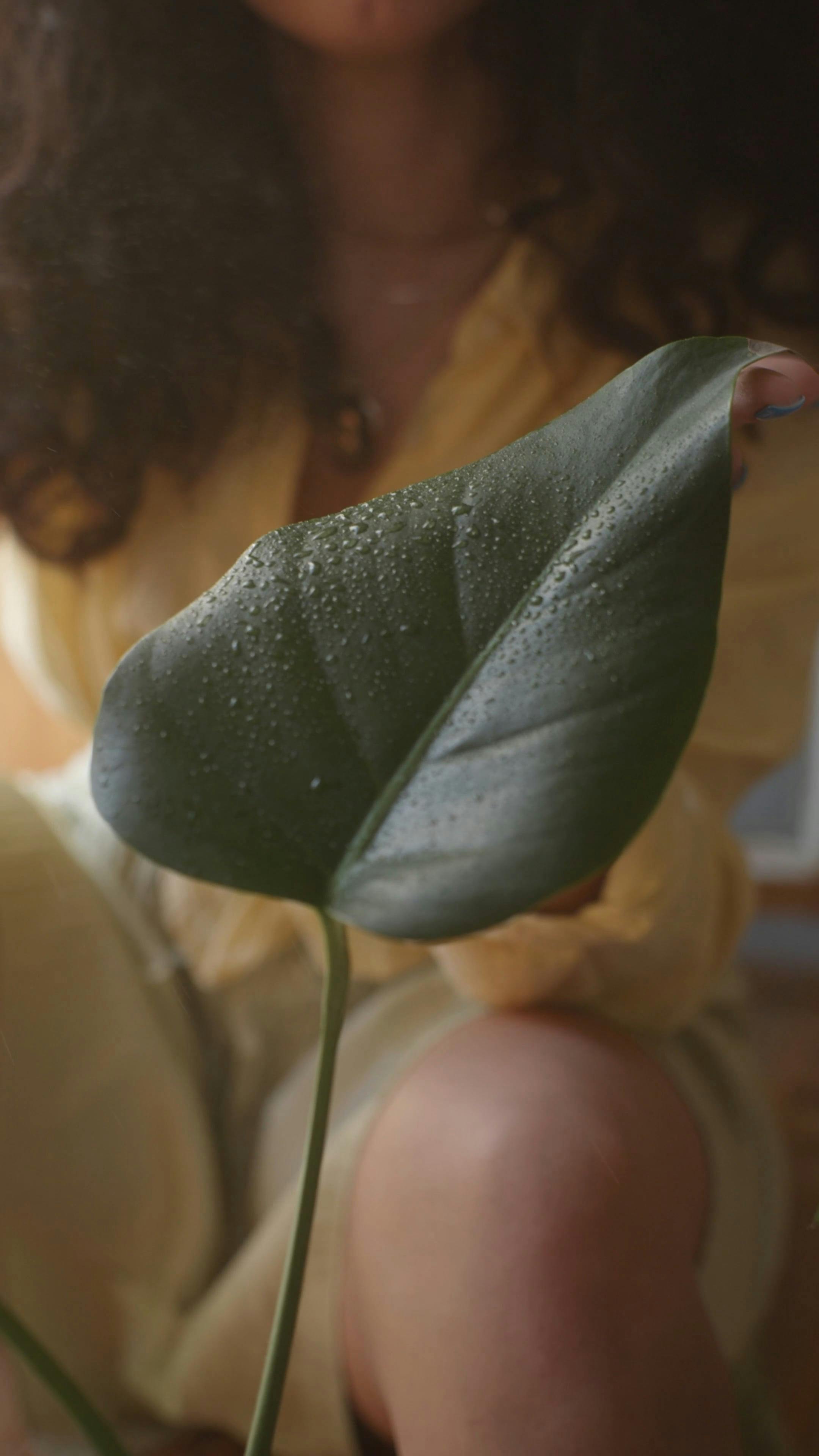  Verpleegkundige Zorgverlening Aan Ouderen  thumbnail