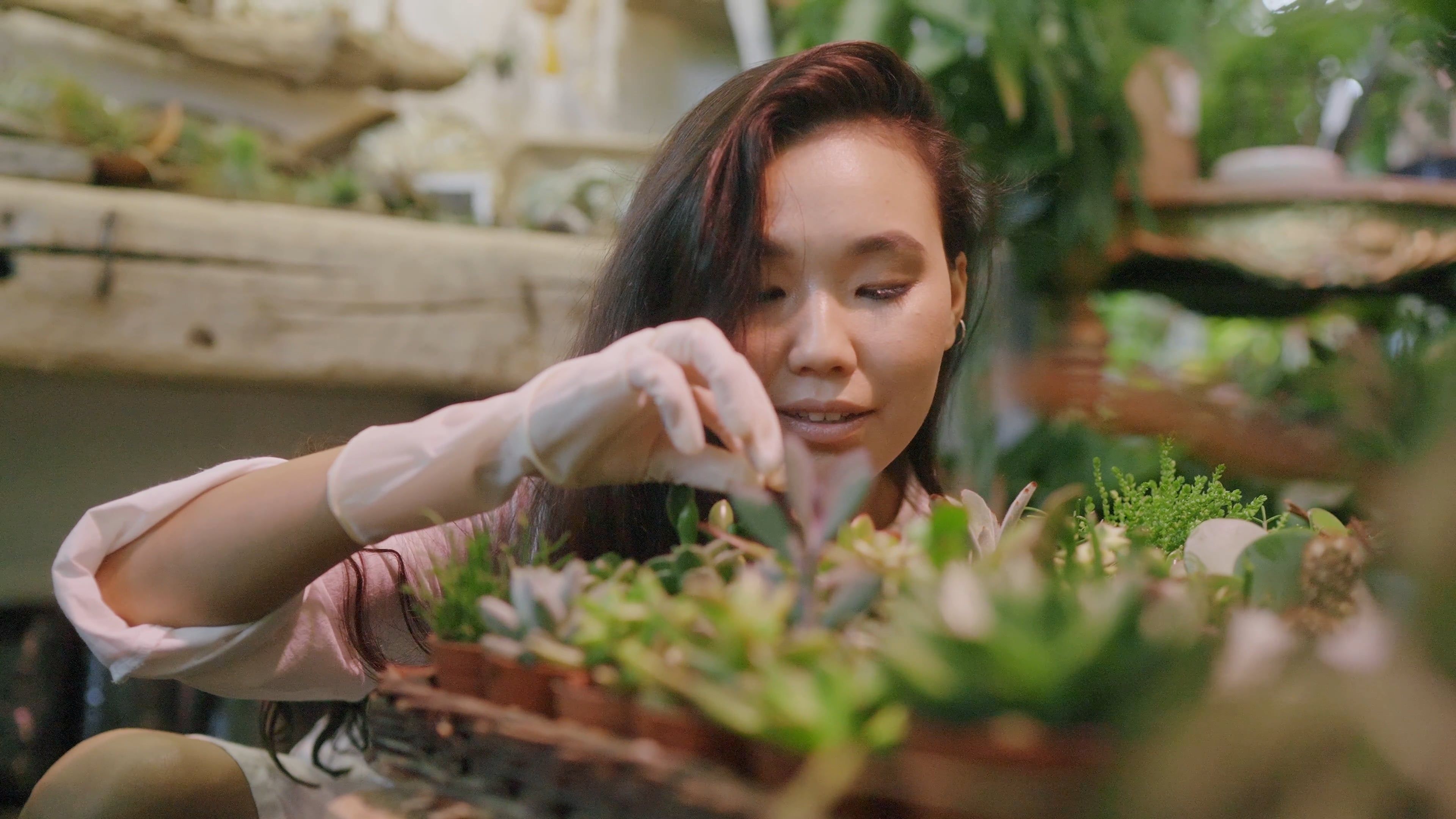Indoor Landscaping Videos, Download The BEST Free 4k Stock Video ...