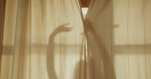 tumblr behind the curtain