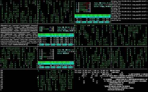 Matrix, Console, Hacking, Code