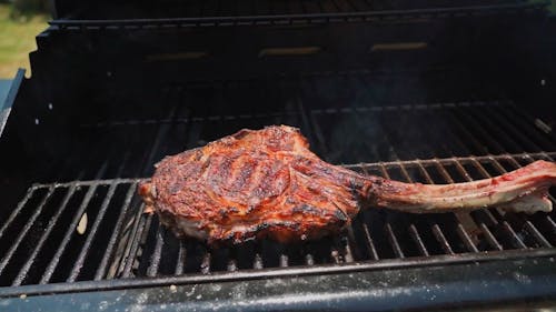 Close-Up Video of a Meat on a Grill