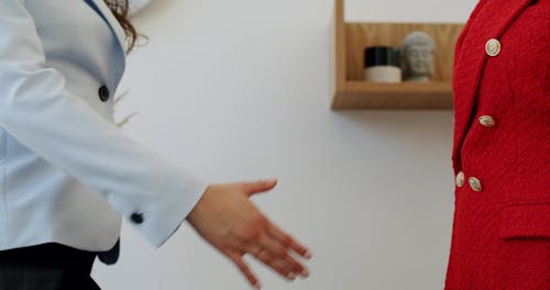 Females Shaking Hands at an Office