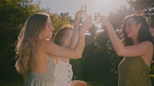 Women Having a Toast at a Park
