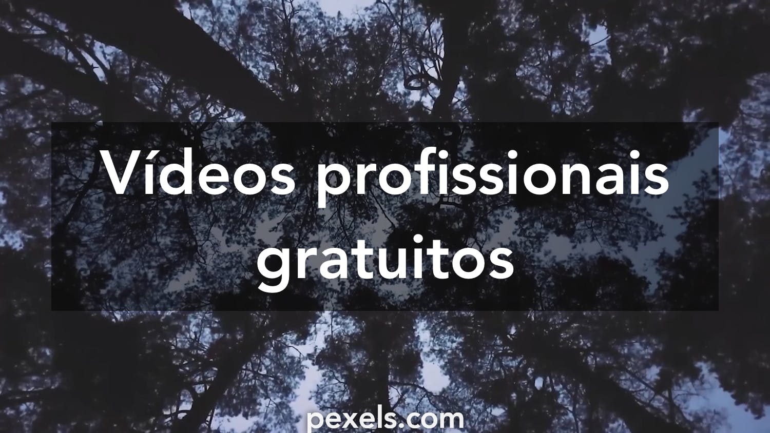 10.000+ melhores vídeos de 8k Papel De Parede · Download 100% grátis ·  Vídeos profissionais do Pexels